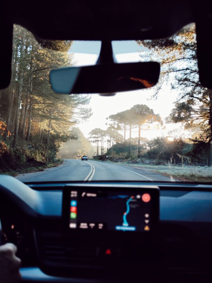 gallery-6 Experience a serene drive through a forest road at sunset, perfect for nature lovers.